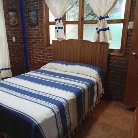 Coyoacan Departamento Tipo Colonial 멕시코 시 외부 사진