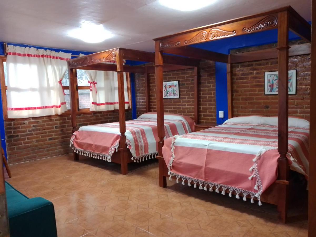 Coyoacan Departamento Tipo Colonial 멕시코 시 외부 사진