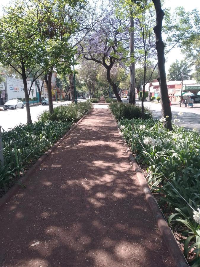 Coyoacan Departamento Tipo Colonial 멕시코 시 외부 사진